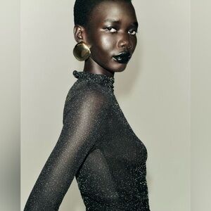 *NWT* Zara Metallic Thread Sheer Top